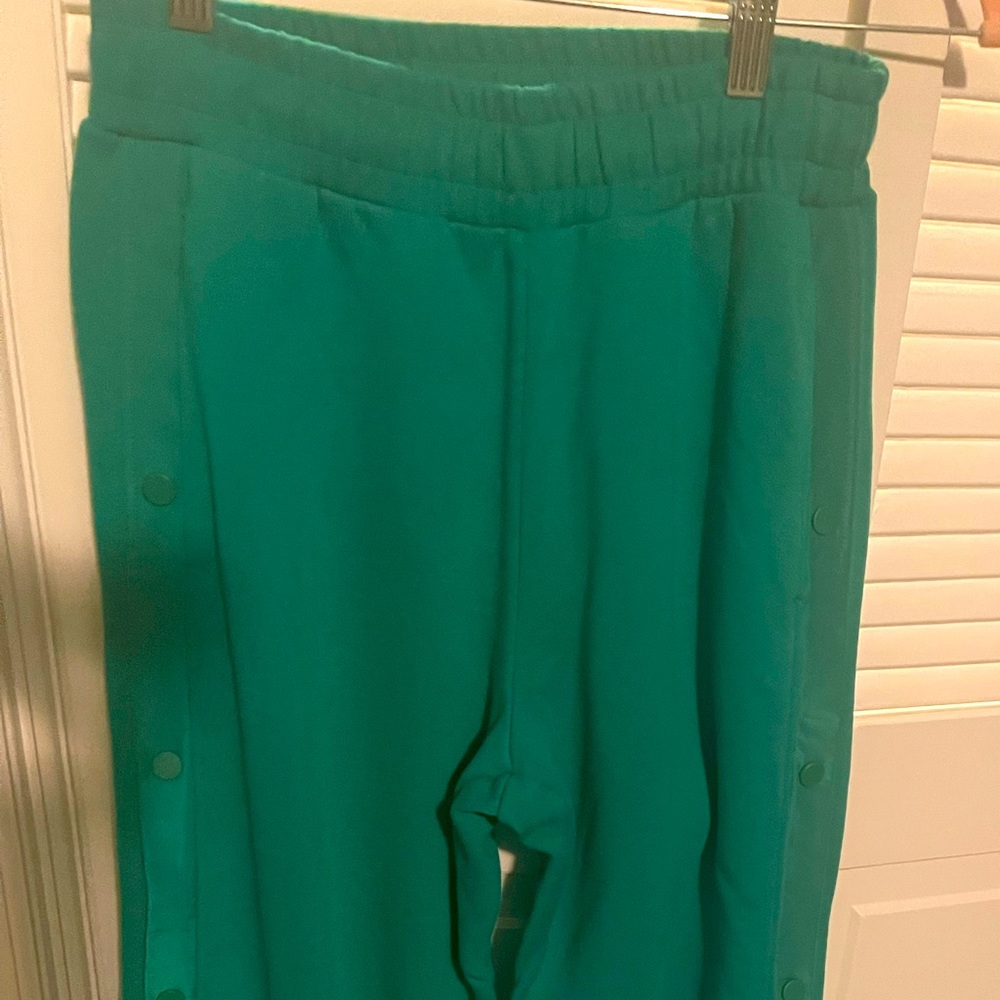 Never worn Alo Yoga fleece lined sweatpants